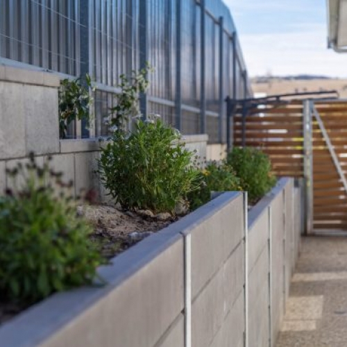 Retaining Wall, Raised Garden Bed, Landscapers, Concrete Paths, Landscaping Designs, Block Wall, Pedestrian Access Gate, Port Elliot, Fleurieu