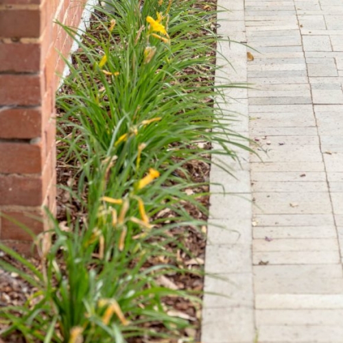 Paving Contractors, Brick Edging, Garden Beds, Garden Designs, Landscapers, Landscaping, Victor Harbor, Fleurieu